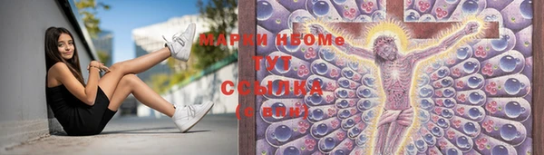 стафф Кодинск