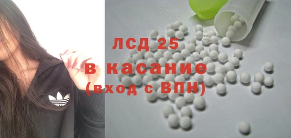 стафф Кодинск