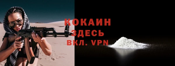 стафф Кодинск