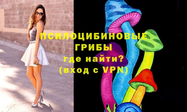 стафф Кодинск