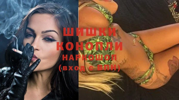 стафф Кодинск