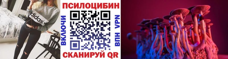 закладки  Купино  Псилоцибиновые грибы прущие грибы 