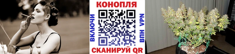Канабис семена  наркошоп  Купино 